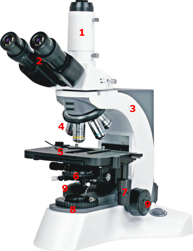 Microscopio Ottico